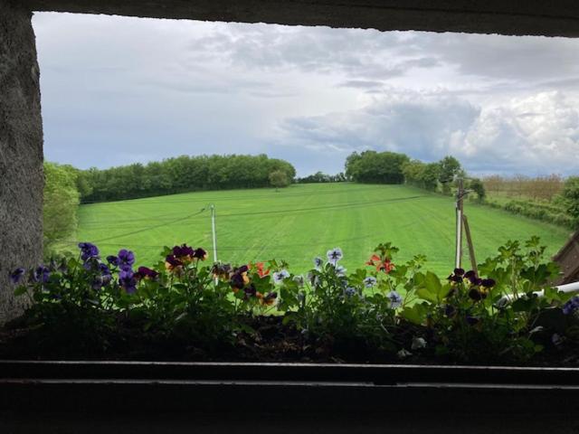 Villa Longere Campagne 10 Pers. Proche Guedelon Sougeres-en-Puisaye Esterno foto